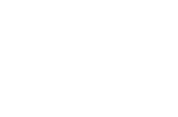 The gelateria